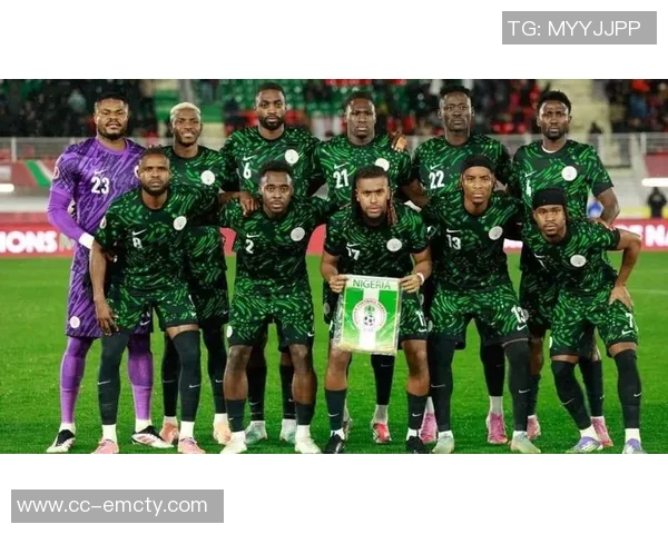 非洲杯决赛冲突引发罢赛非洲足联强烈谴责并启动录像审查 非洲杯决赛冲突引发罢赛非洲足联强烈谴责并启动录像审查